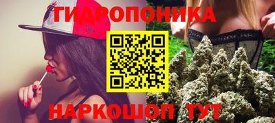 скорость Будённовск