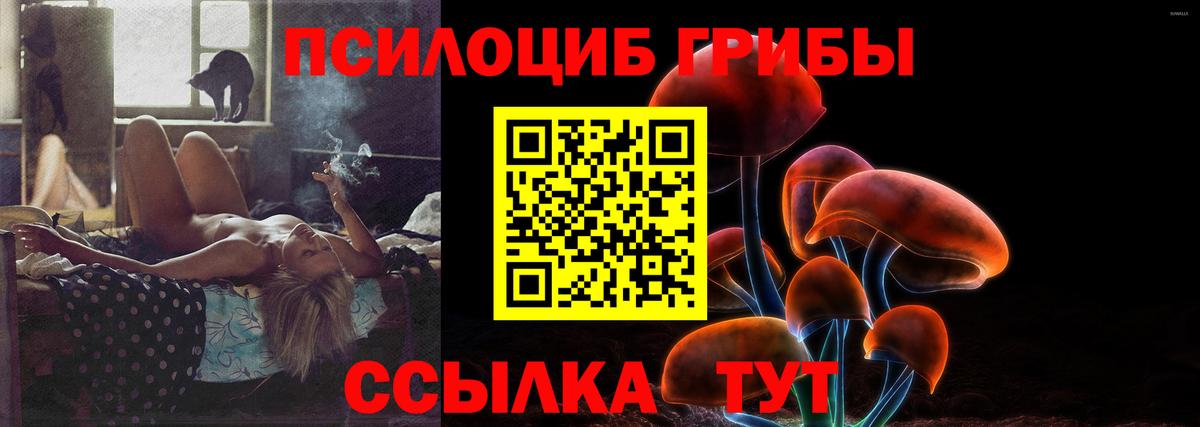 Галлюциногенные грибы GOLDEN TEACHER  Вход с VPN  Саров 